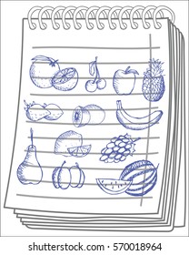 Sketchy fruit set on notebook background. Vector illustration. Free hand drawn.
