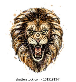 
Sketchy graphic color portrait of a roaring lion on a white background with splashes of watercolor