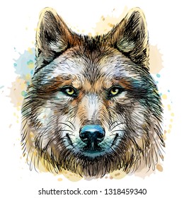 Wolf Face Realistic Images Stock Photos Vectors Shutterstock