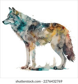 Sketchy, graphical, color portrait of a wolf on a white background with splashes of watercolor.