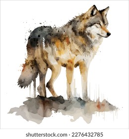 Sketchy, graphical, color portrait of a wolf on a white background with splashes of watercolor.