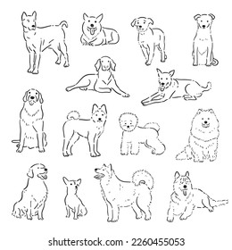 dibujo manual esquemático doodle linea de perro lindo arte