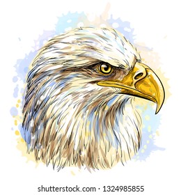 Sketchy, hand-drawn, color portrait of a  eagle on a white background with splashes of watercolor.