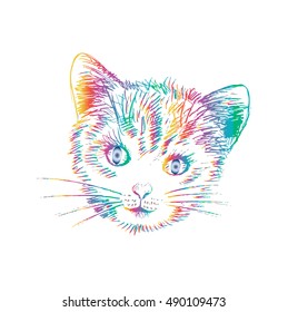 Sketchy head of cat