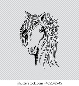 Sketchy of head horse.