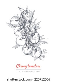 Sketchy illustration of cherry tomatoes. EPS 10. No transparency. No gradients.