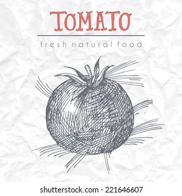 Sketchy illustration of tomato on creased paper. EPS 10. No transparency. No gradients.