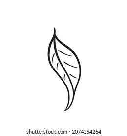 sketchy leaf image. hand drawn contour botanical illustration. vector floral element for invitation design