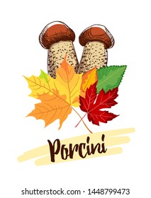 Sketchy mushrooms and autumn leaves on the white background. Vector illustration