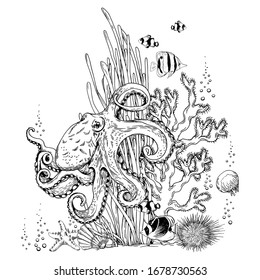 Sketchy octopus, seaweeds and tropical fishes. Black and white drawing. Vector illustration isolated on white background.