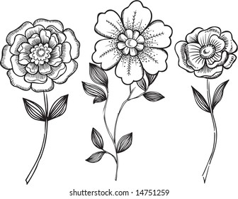 Sketchy Ornamental Flowers with Stems Vector Illustration