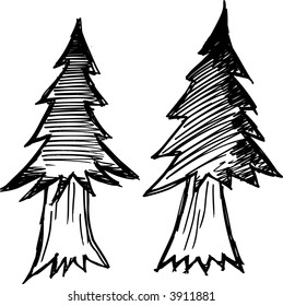 Sketchy Pine trees Vector Illustration