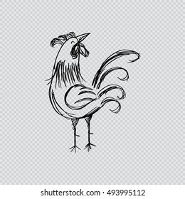 Sketchy of rooster.