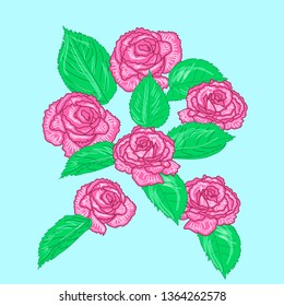 Sketchy roses with leaves in vector