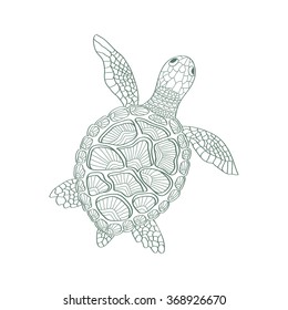 sketchy sea turtle in cartoon style on a white background