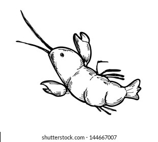 sketchy shrimp
