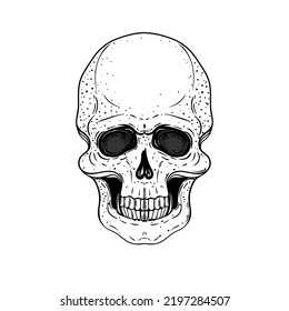 Sketchy style drawing of human skull, human head, isolated on white. Tattoo design element. Vector illustration. Religion, death, occultism, calavera symbol, alchemy magic.
