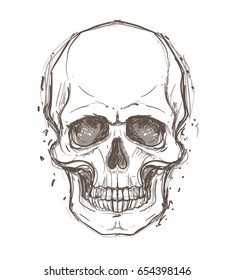 Sketchy style drawing of human skull, human head, isolated on white. Tattoo design element. Vector illustration. Religion, death, occultism, calavera symbol, alchemy magic.