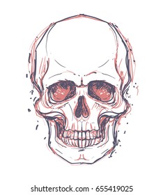 Sketchy style drawing of human skull, human head, isolated on white. Tattoo design element. Vector illustration. Religion, death, occultism, calavera symbol, alchemy magic.
