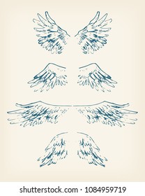 Sketchy style hand drawn wings. Vector illustration. Comics stlyle. Elegant graphics.