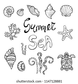 Sketchy vector hand drawn Doodle cartoon set of objects and symbols on the Summer beach. Seashell and sea waves.