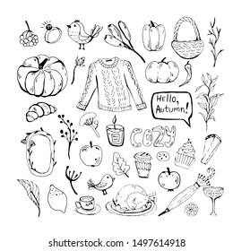 Sketchy vector hand drawn Doodle cartoon set of objects and symbols on the autumn theme.Flowers, branches, scandinavian elements.Funny, cute, hugge, hand drawn illustration for poster, banner, print