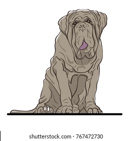 Sketchy vector illustration of a cute dog