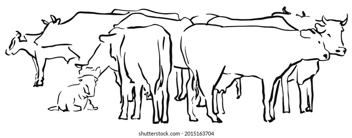 Skizzenherde von Kühen auf der Wiese, handgezeichnet, Vektorgrafik