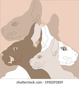 Sketh Cat Spfynx Colored Pattern