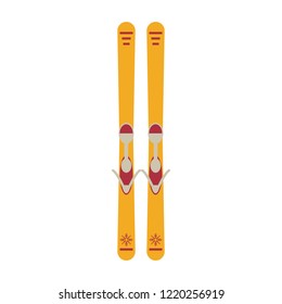 Ski boards equipment