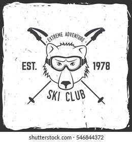 Ski Club Design Vector Illustration Vector Stock Vector (Royalty Free ...