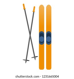 Ski equipment icon. Cartoon of ski equipment vector icon for web design isolated on white background