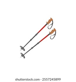 Ski Poles, Sport Equipment Vector Illustration Isolated