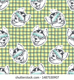 Skier Husky dog. Vector illustration of seamless pattern with animal.