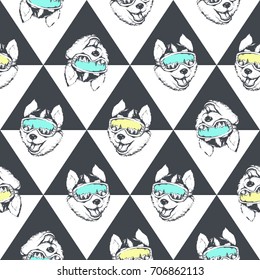Skier Husky dog. Vector illustration of seamless pattern with animal.