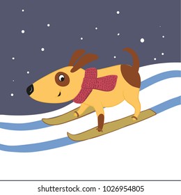 Skiing Dog in Winter Landscape