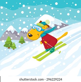 Skiing Dog in Winter Landscape