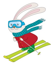 Skiing Rabbit