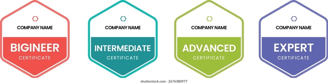 Skill Level Certificate Badge Vector Set | Beginner to Expert Certification Labels for Courses, Training, and Achievements