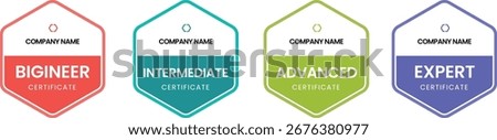 Skill Level Certificate Badge Vector Set | Beginner to Expert Certification Labels for Courses, Training, and Achievements