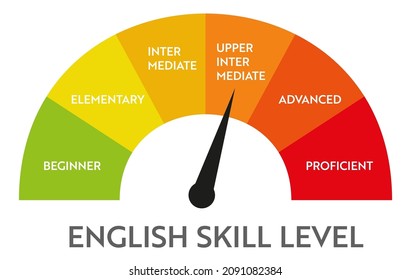 Skill level meter indicator. Business vector chat infographic. Education speedometer