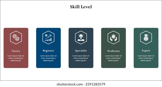 Skill Levels - Novice, Beginner, Specialist, Proficient, Expert. Infographic template with icons and description placeholder