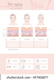 Skin Aging, Skincare And Skin Diagrams