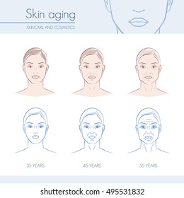 Skin Aging Stages On Female Faces, Skincare And Beauty Infographic