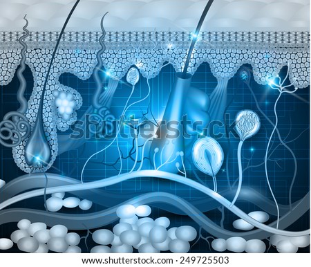 Skin anatomy abstract blue background