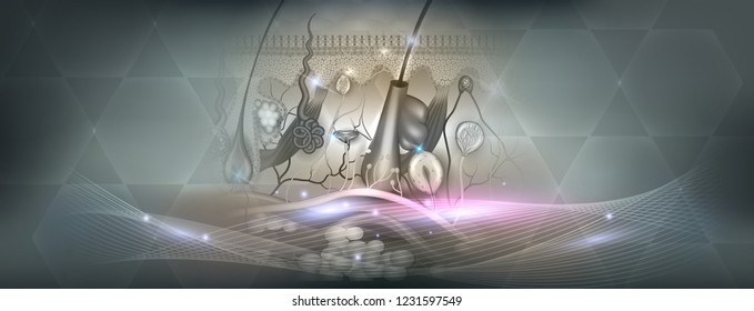 Skin anatomy detailed structure abstract grey backdrop and glowing lines