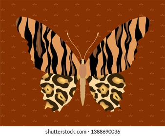 skin animals predators wild beasts tiger leopard