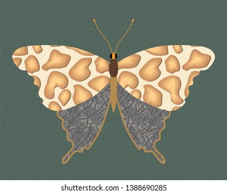 skin animals predators wild beasts tiger leopard elephant