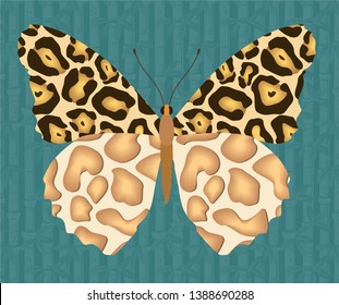 skin animals predators wild beasts tiger leopard elephant