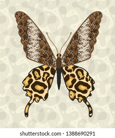 skin animals predators wild beasts tiger leopard elephant